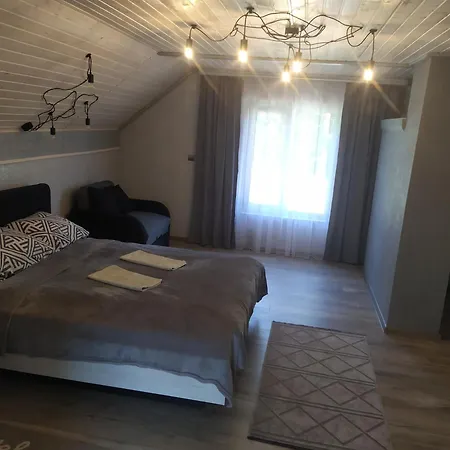 Apartment приватна за рікою Jaremtsche